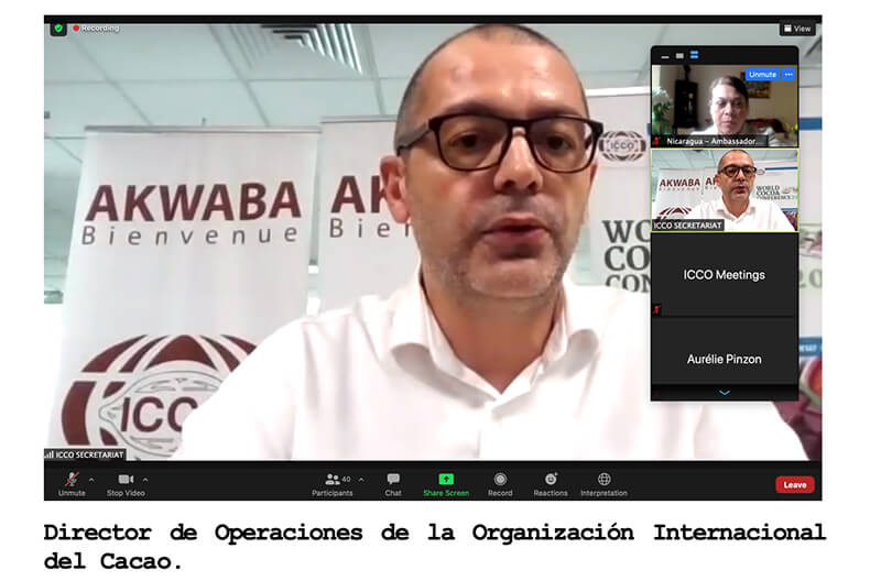 webinario-cacao